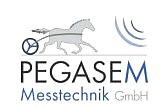 PEGASEM