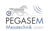 PEGASEM