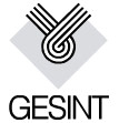 GESINT