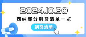 2024.10.30西纳部分到货清单一览