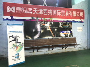 天津西納國際貿(mào)易趣味運動會火熱開賽