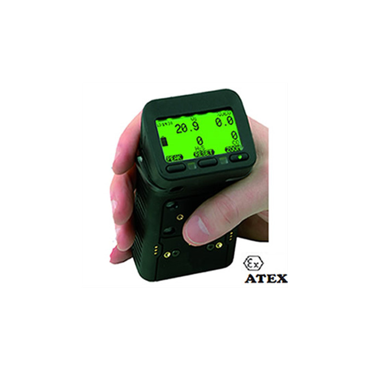 TECNO CONTROL便攜式多氣體監(jiān)測儀NE700G-G450