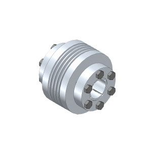 STS帶錐形夾緊環(huán)的聯(lián)軸器WK5
