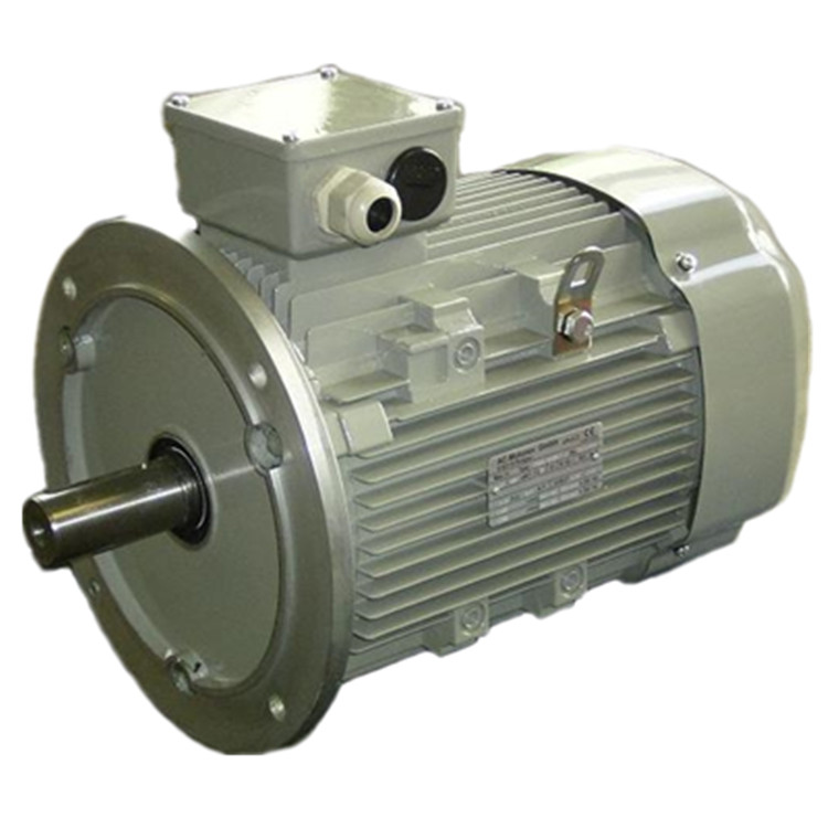 AC MOTOREN三相異步電機(jī)IE4AC16M4000