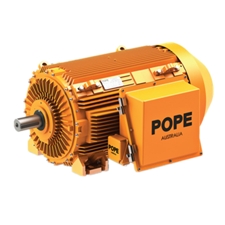 POPE三相電機(jī)Flexi-Frame