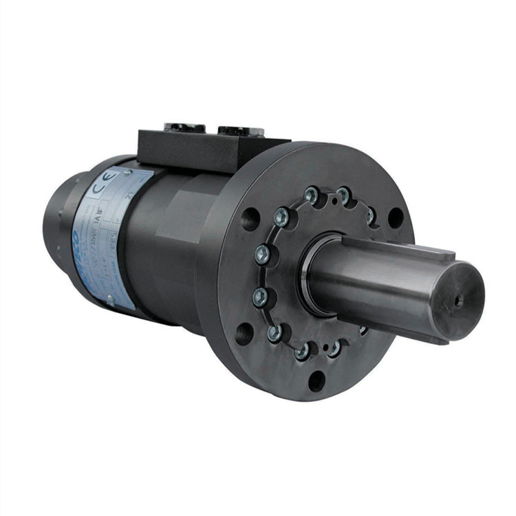 MOVECO旋轉執(zhí)行器ARM 30 - RM.20
