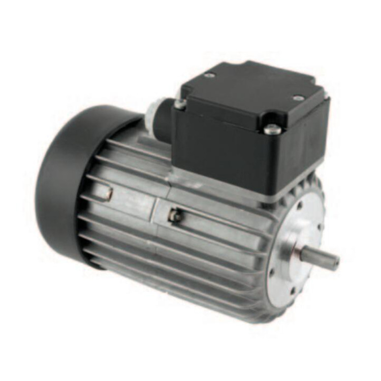 GEFEG-NECKAR單相異步電動機Eg 7120-2